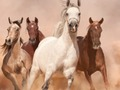 Juego Rompecabezas de caballos  en línea