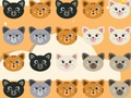 Juego Lindo gatito partido 3  en línea