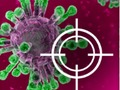 Juego Destruye el virus  en línea