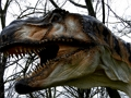 Juego Rompecabezas de dinosaurio T-Rex  en línea