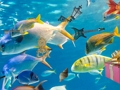 Juego Objetos ocultos: tobogán tropical  en línea
