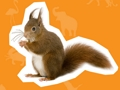 Juego Casa de animales  en línea