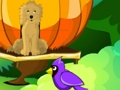 Juego Escape del jardín de flores  en línea