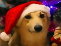 Juego Perros Divertidos De Navidad  en línea