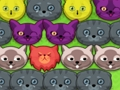 Juego Gatitos pop-pop  en línea