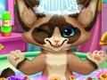 Juego Baño de gatito  en línea