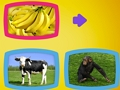 Juego ¿Qué comen los animales?  en línea