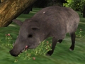 Juego Rompecabezas de caza de jabalíes  en línea