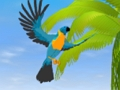 Juego Simulador de loros  en línea