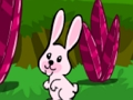 Juego Escapar del conejo saltando  en línea