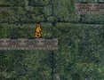 Juego Aventura de conejito  en línea