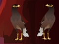 Juego Escape del pato Peikin  en línea