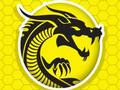 Juego Furia de Kung Fu  en línea