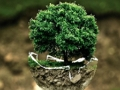 Juego Rompecabezas del medio ambiente  en línea