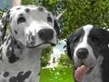 Juego Simulador de perro 3d  en línea