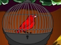 Juego Lindo, pájaro rojo, escape  en línea
