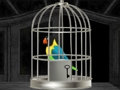 Juego Escape de loros  en línea