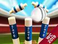 Juego Mini Cricket: Copa Mundial del Campeonato de tierra 2019 en línea