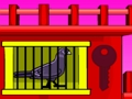 Juego Escape de la paloma negra  en línea