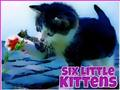 Juego Seis pequeños gatitos  en línea