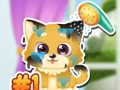 Juego Cuidado divertido del cachorro  en línea