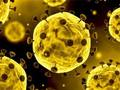 Juego Diapositiva de coronavirus  en línea