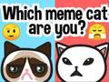 Juego ¿Qué gato meme eres?  en línea