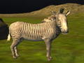 Juego Caza de animales reales de la selva  en línea