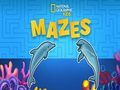 Juego Laberintos para niños de Nat Geo  en línea