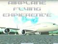 Juego Experiencia de vuelo en avión  en línea