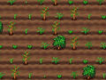 Juego Tetera  en línea