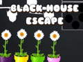 Juego Escape de la casa negra  en línea