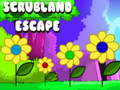 Juego Escape de matorral  en línea