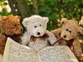 Juego Rompecabezas de los tres ositos de peluche  en línea