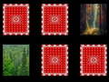 Juego Memoria del bosque  en línea