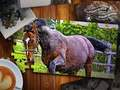 Juego Rompecabezas Edición Caballos  en línea