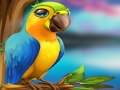 Juego Pequeño escape de loro  en línea