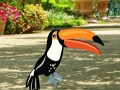 Juego Encuentra un par de pájaros carpinteros  en línea