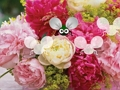 Juego Fondo de pantalla de Pretty Blossom Escape  en línea