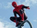 Juego Guerrero araña  en línea