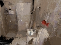Juego Ocupado  en línea