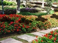 Juego Escape del jardín de la granja de hojas  en línea