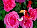 Juego Escape de la rosa preciosa  en línea