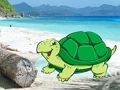 Juego Escape de pareja de cangrejos de playa  en línea