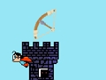 Juego Cazador de pájaros  en línea