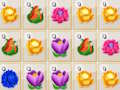 Juego Fusión de flores  en línea
