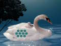 Juego Salvar a la madre cisne  en línea