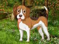 Juego Escape del perro del jardín de flores  en línea