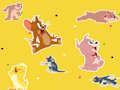 Juego El show de Tom y Jerry ¡Encuéntralo!  en línea