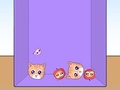 Juego Evolución de los memes de gatos  en línea
